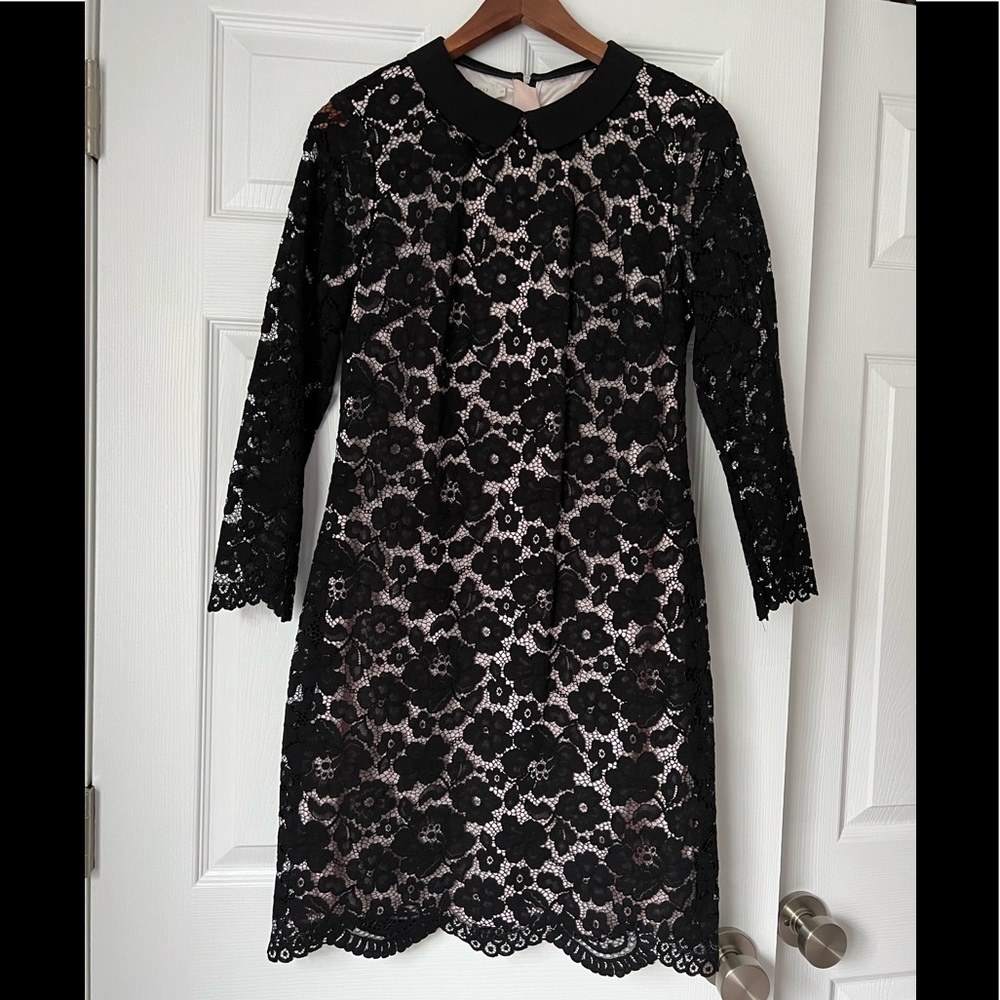 Ted Baker dress size 3 fits M-L, excellent condition, black lace, lined.Elegant!